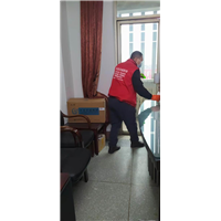 自贡龙玥灭鼠团队