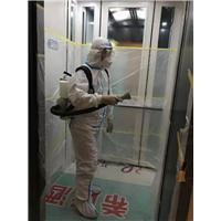内江市灭苍蝇