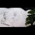 嘉兴手绘墙