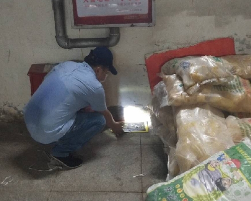 南宁灭鼠公司哪家效果好 