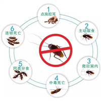家庭灭四害 