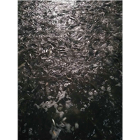 湖南鱼苗繁殖基地| 湖南鱼苗批发市场 