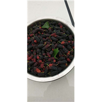 广西桑种|广西桑树种子