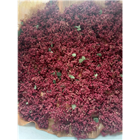 天水花椒烘干机