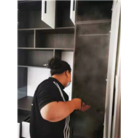 秦皇岛除甲醛