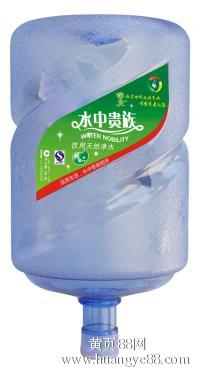水中贵族 