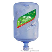 水中贵族 