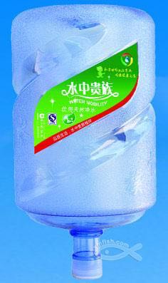 水中贵族 