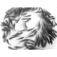 湖南鲢鱼苗批发|湖南供应青鱼苗