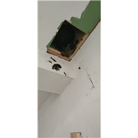 江门防水补漏免砸砖靠谱吗