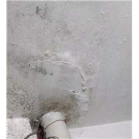 江门卫生间阳台厨房渗水漏水防水