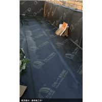 江门新会做防水补漏用哪种材料好