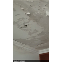 江门新会防水补漏公司哪家好