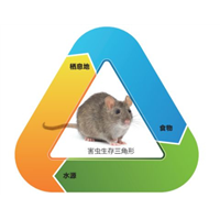 海口灭蟑螂公司 