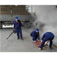 海口消杀公司怎么快速解决白蚁对香樟树的危害