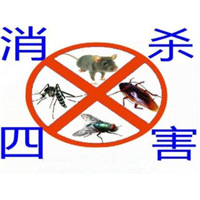 海口灭鼠电话 