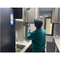 长春吸收甲醛的室内植物