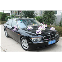 咸宁租车u 宝马7系婚车 