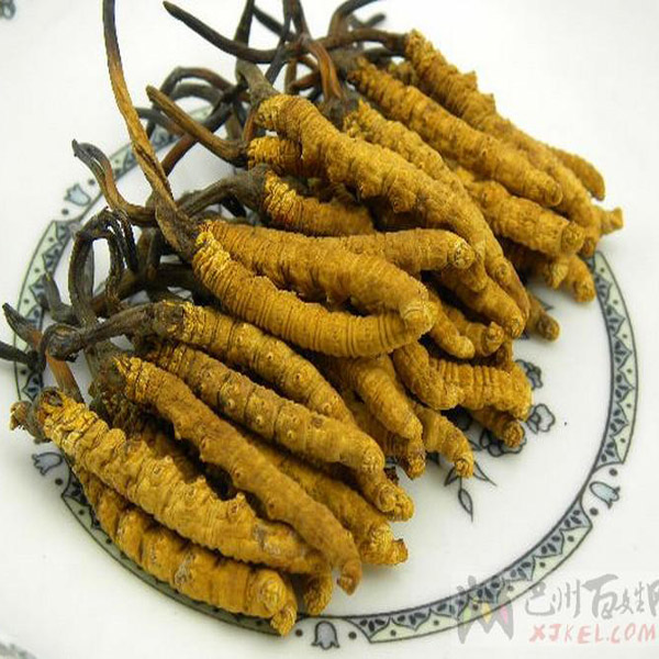 杭州回收冬虫夏草
