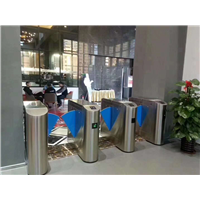 翼闸摆闸