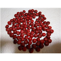 红豆种子8