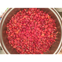 红豆种子1