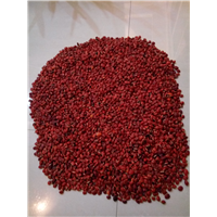红豆种子2