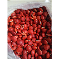 红豆种子6