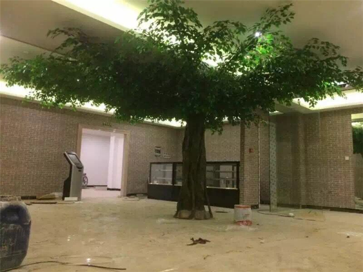 厦门室内假树