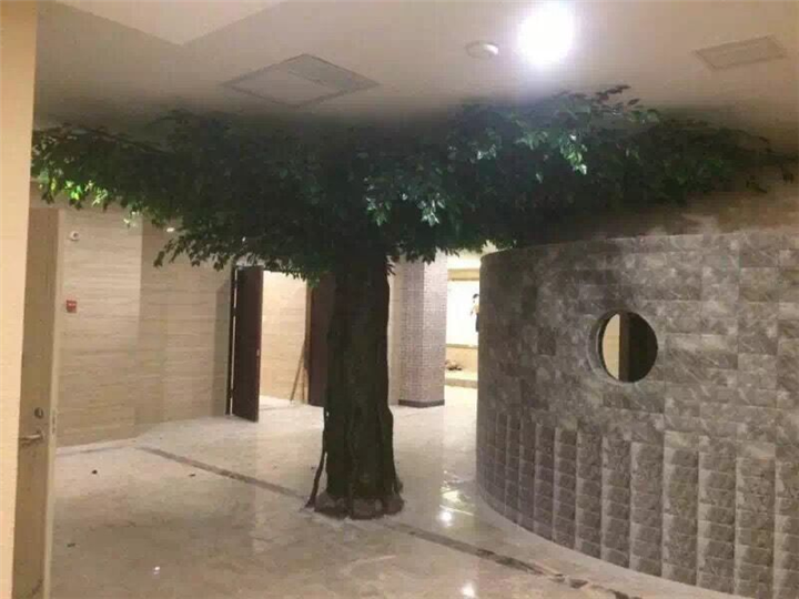 厦门假树工程