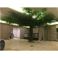 厦门室内假树