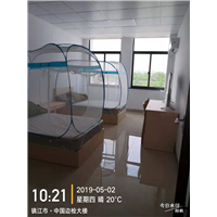 中国边检除甲醛