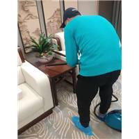 大连除甲醛公司