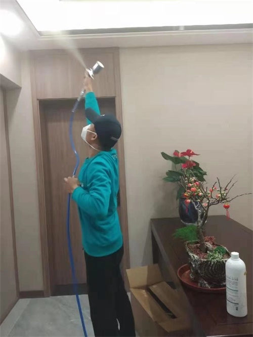大连专业除甲醛公司