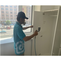 大连专业甲醛治理