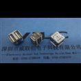 短体双层USB（±10.5）卷边180°插板/DIP【铜壳-不锈钢/亮锡】 