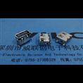 SUB ◢AF 短体沉板◣4脚后鱼插 DIP破板1.1 