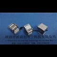 USB AF90度双层半包无弹片+DIP弯脚 