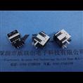 USB-AF短体母座10.0DIP90度双层【加长脚+加长针】外露胶芯/镀金 