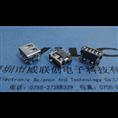 [沉板短体USB10.0 DIP]鱼插四脚Φ插板-无柱 无导位 