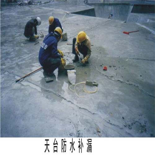 仪征屋面防水 