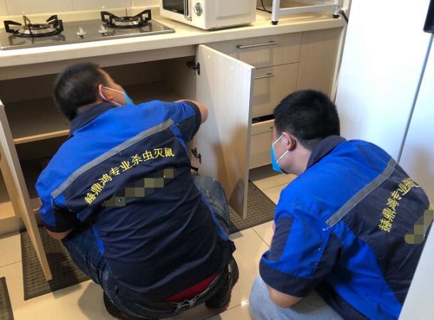 台州灭蟑螂电话 