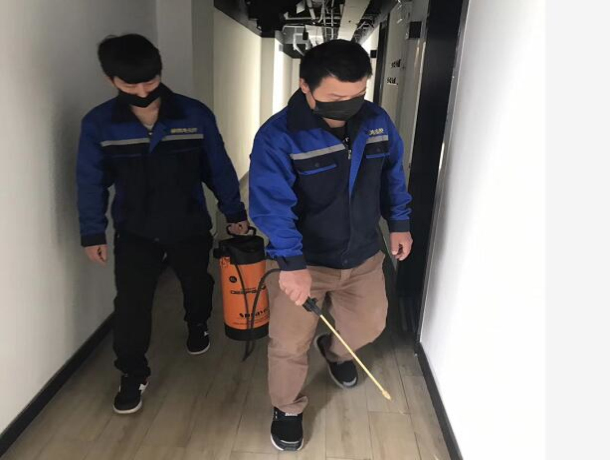 台州灭鼠公司 