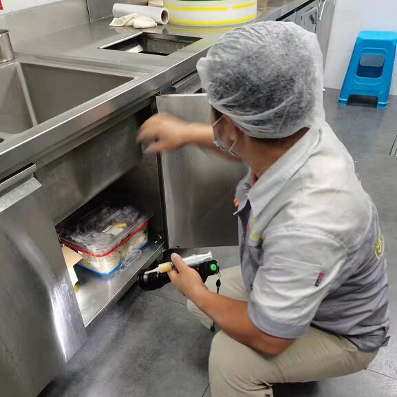 台州灭鼠找赫鼎鸿安全可靠