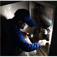 台州灭蟑螂灭老鼠服务