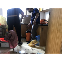 台州灭蟑螂 