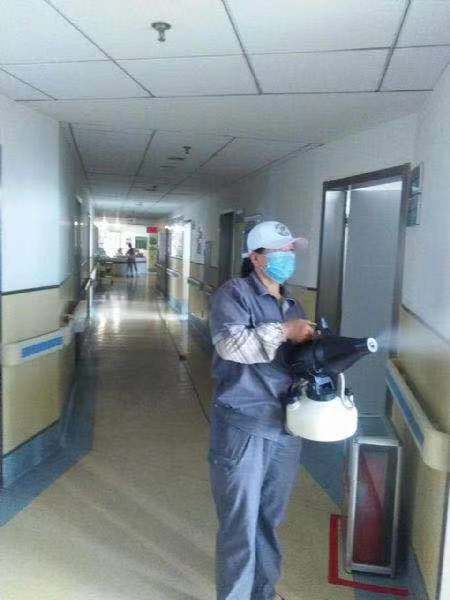 宁波灭老鼠