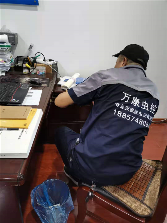 宁波除四害 