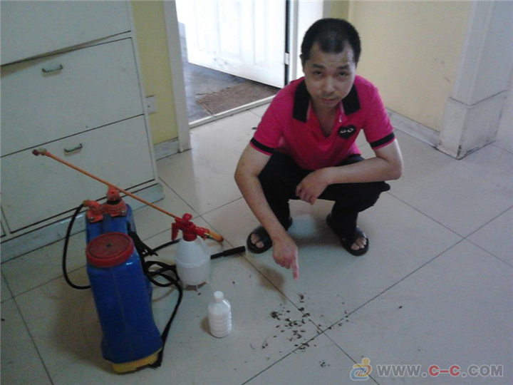 邵阳杀虫灭鼠