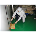 邵阳灭鼠公司